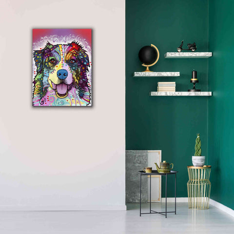 Image of 'Australian Shepherd' by Dean Russo, Giclee Canvas Wall Art,26x34