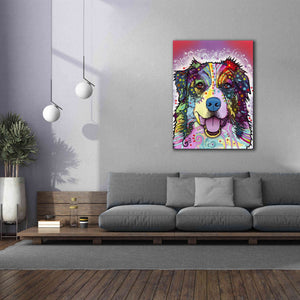 'Australian Shepherd' by Dean Russo, Giclee Canvas Wall Art,40x54