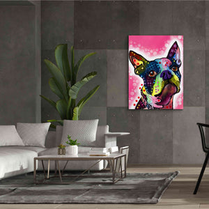 'Boston Terrier' by Dean Russo, Giclee Canvas Wall Art,40x54