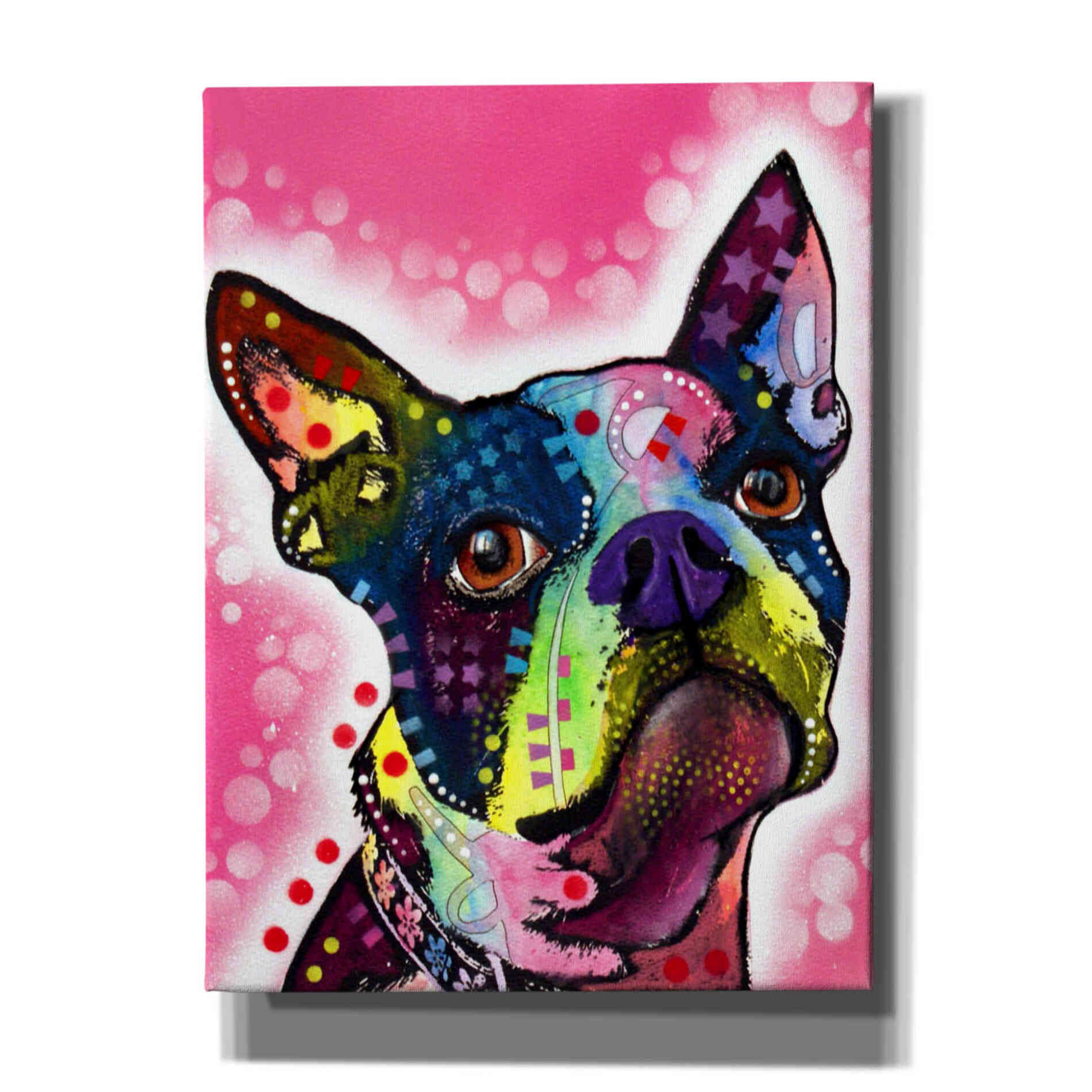'Boston Terrier' by Dean Russo, Giclee Canvas Wall Art