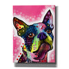 'Boston Terrier' by Dean Russo, Giclee Canvas Wall Art