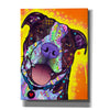 'Daisy Pit' by Dean Russo, Giclee Canvas Wall Art