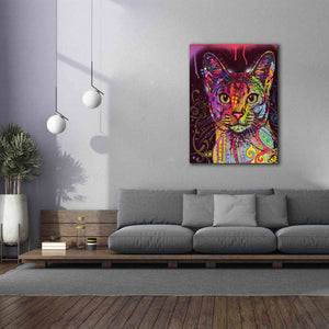 'Abyssinian' by Dean Russo, Giclee Canvas Wall Art,40x54