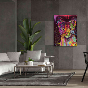 'Abyssinian' by Dean Russo, Giclee Canvas Wall Art,40x54