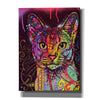 'Abyssinian' by Dean Russo, Giclee Canvas Wall Art