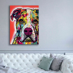 'American Bulldog 1' by Dean Russo, Giclee Canvas Wall Art,40x54