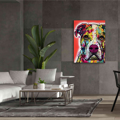 Image of 'American Bulldog 1' by Dean Russo, Giclee Canvas Wall Art,40x54