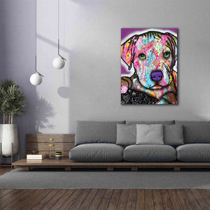 'Baby Pit' by Dean Russo, Giclee Canvas Wall Art,40x54