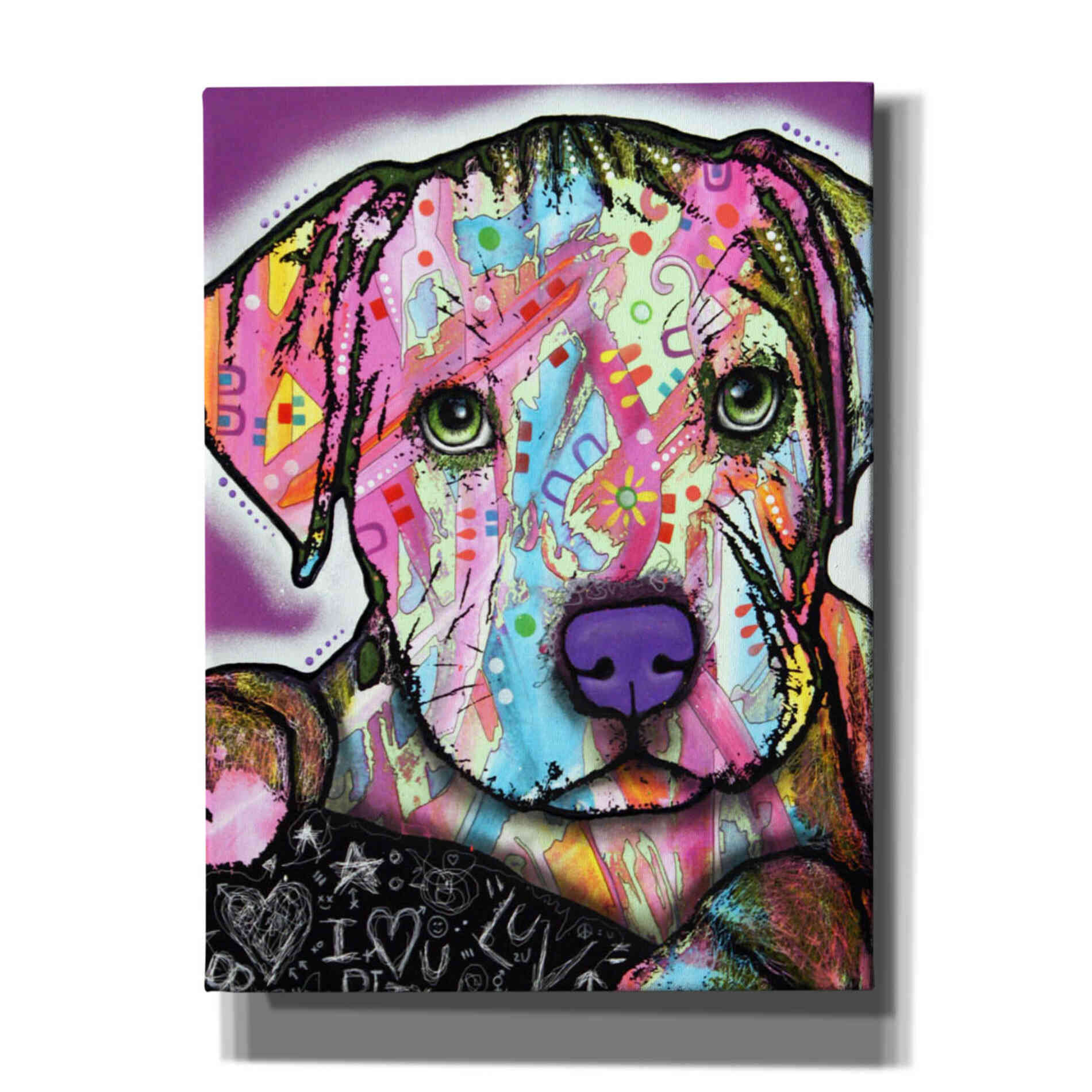 'Baby Pit' by Dean Russo, Giclee Canvas Wall Art