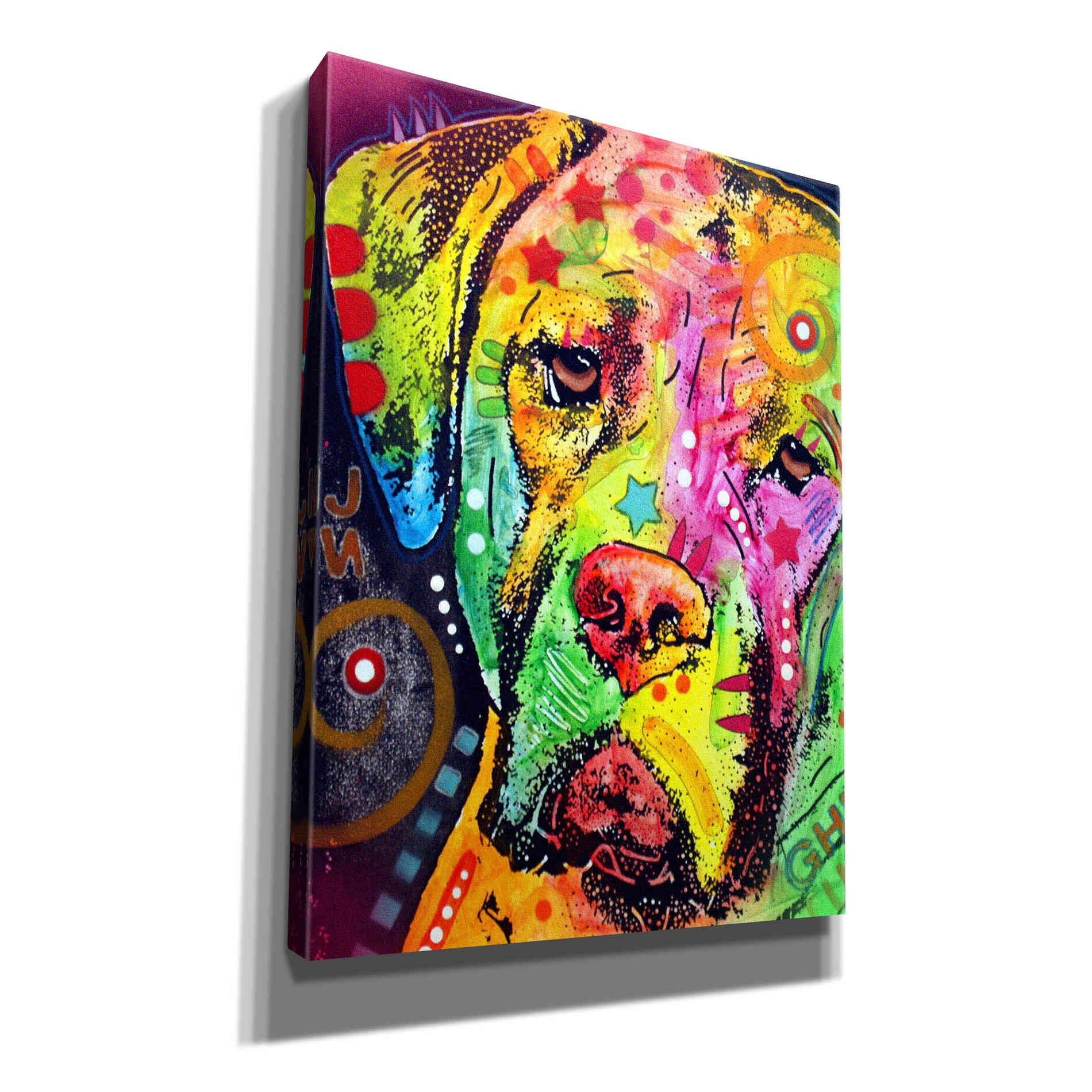 'Mastiff' by Dean Russo, Giclee Canvas Wall Art