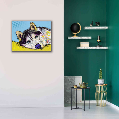 Image of 'Siberian Husky 2' by Dean Russo, Giclee Canvas Wall Art,34x26