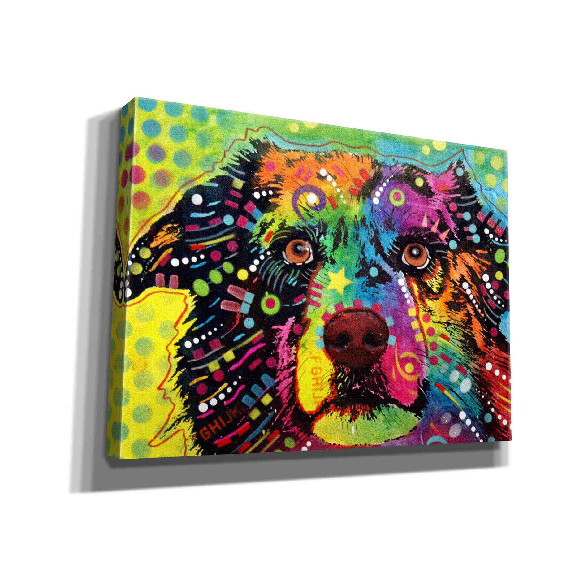 'Straight Aussie' by Dean Russo, Giclee Canvas Wall Art