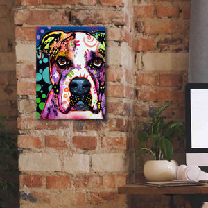'American Bulldog 2' by Dean Russo, Giclee Canvas Wall Art,12x16