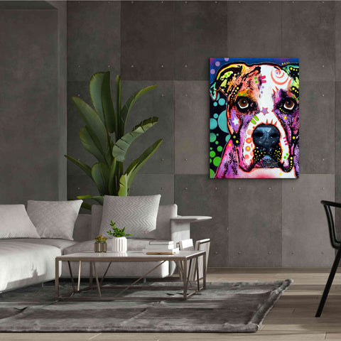 Image of 'American Bulldog 2' by Dean Russo, Giclee Canvas Wall Art,40x54