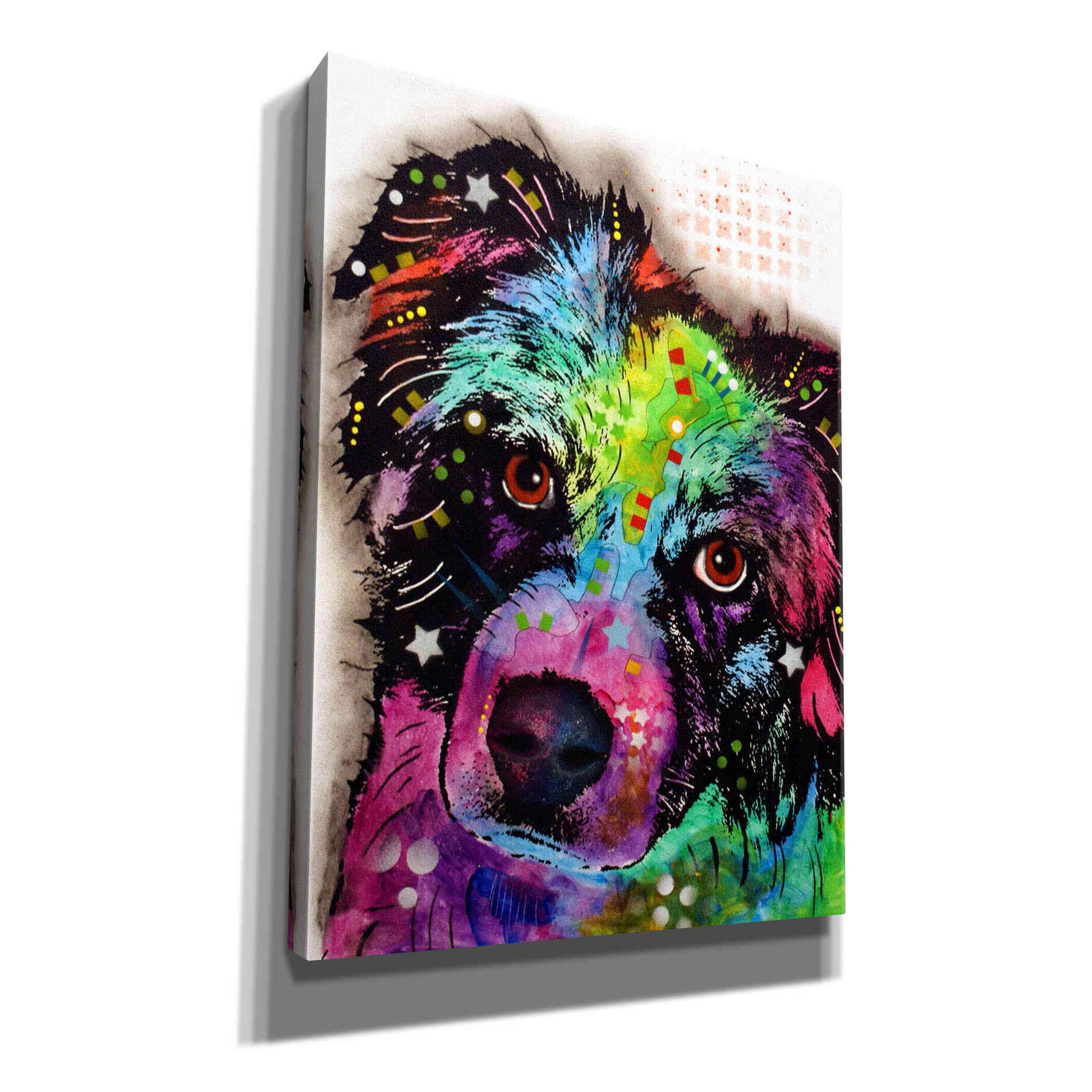 'Aussie' by Dean Russo, Giclee Canvas Wall Art