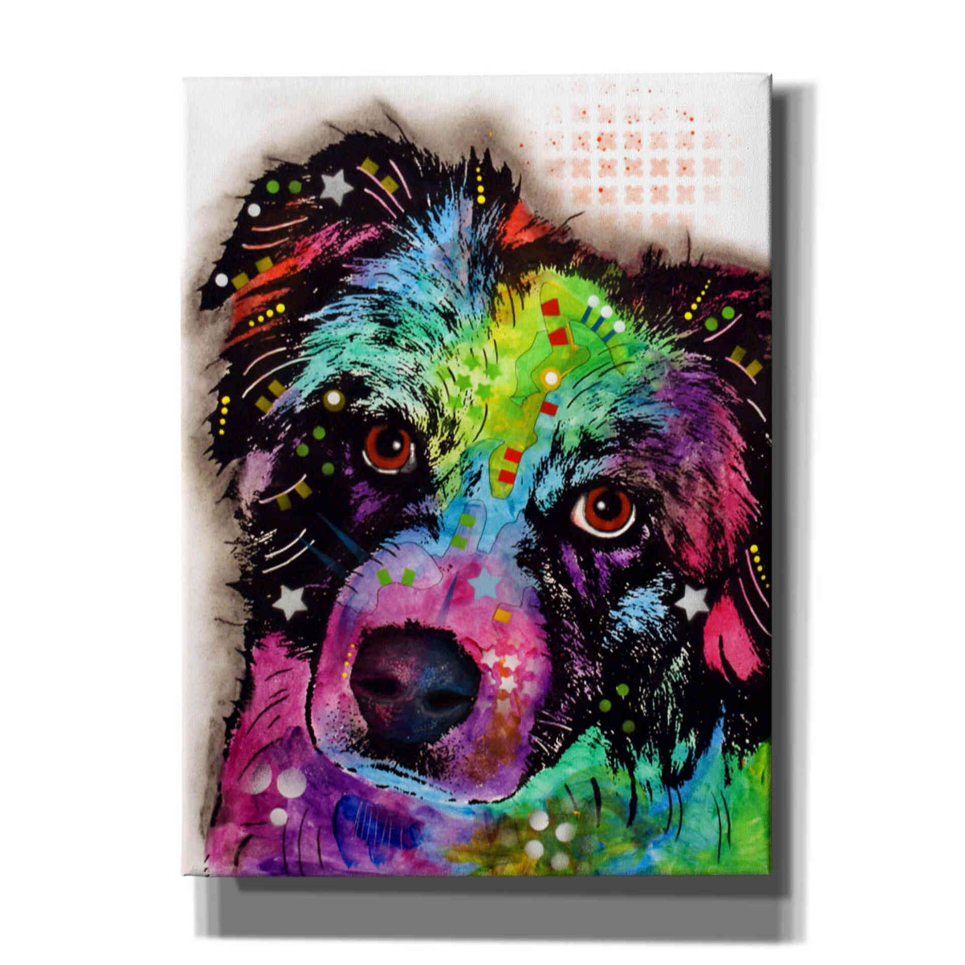 'Aussie' by Dean Russo, Giclee Canvas Wall Art