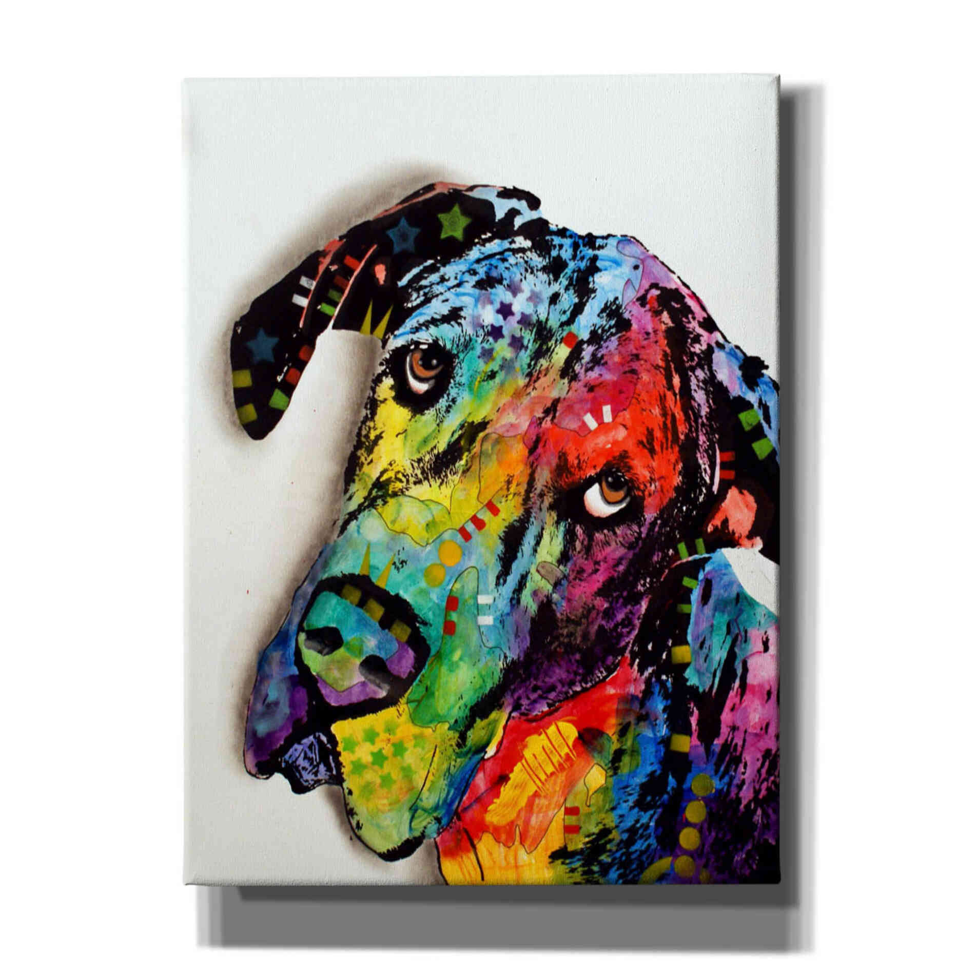 'Tilted Dane' by Dean Russo, Giclee Canvas Wall Art