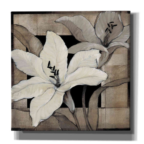 Image of 'Dramatic Lily Grid I' by Tim O'Toole, Canvas Wall Art