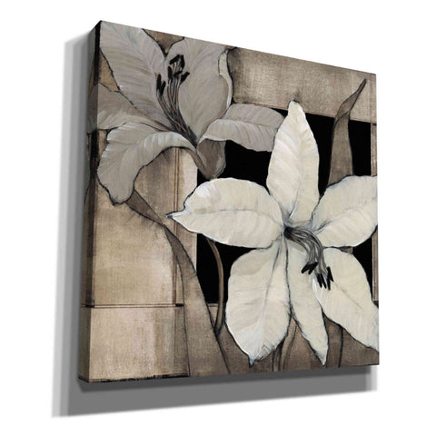 Image of 'Dramatic Lily Grid II' by Tim O'Toole, Canvas Wall Art