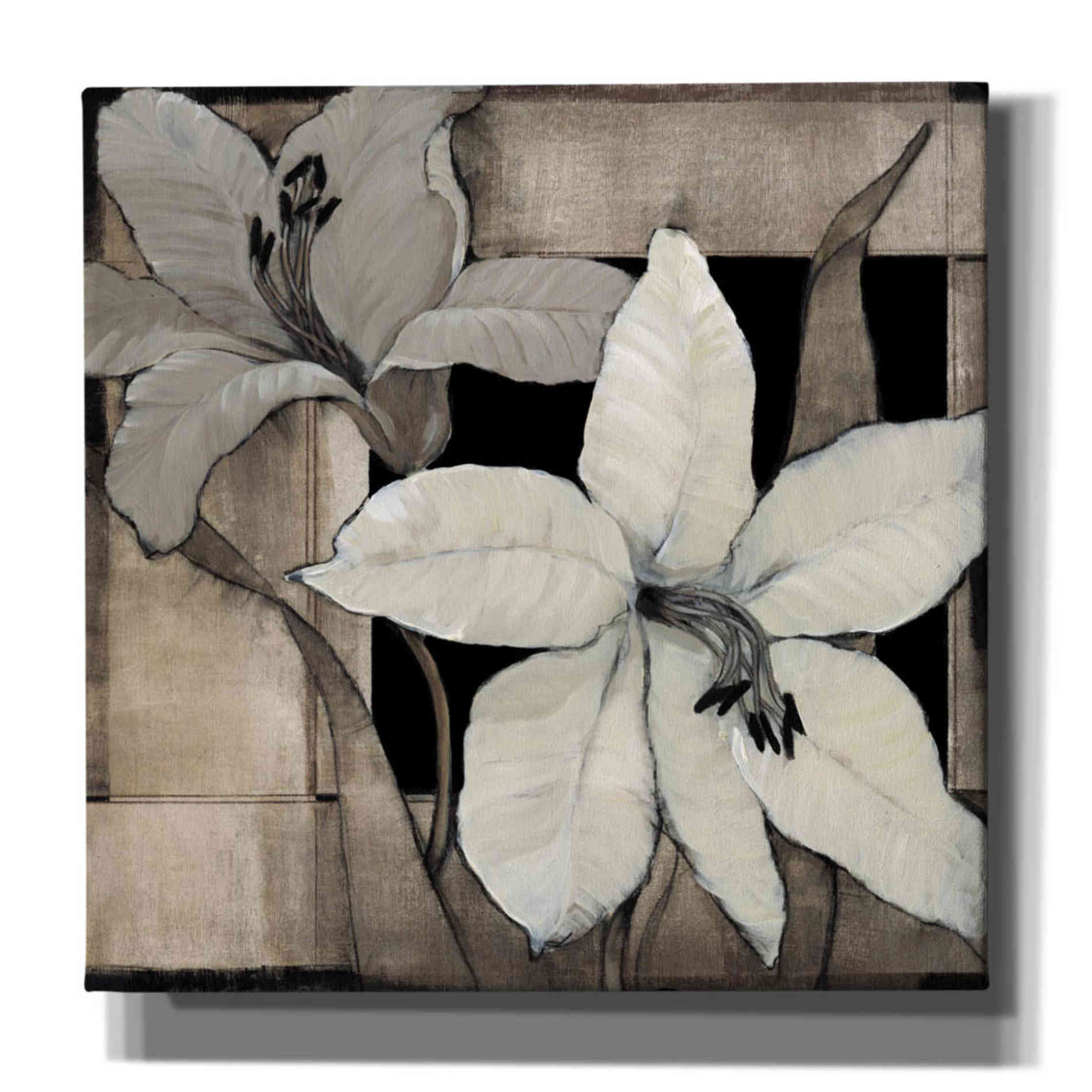 'Dramatic Lily Grid II' by Tim O'Toole, Canvas Wall Art