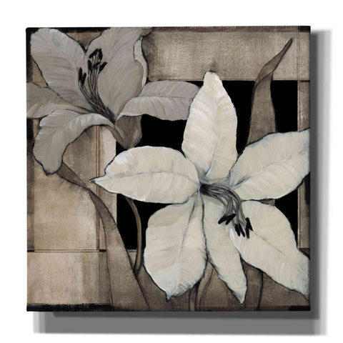 Image of 'Dramatic Lily Grid II' by Tim O'Toole, Canvas Wall Art