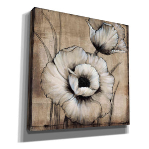 'Neutral Poppies I' by Tim O'Toole, Canvas Wall Art