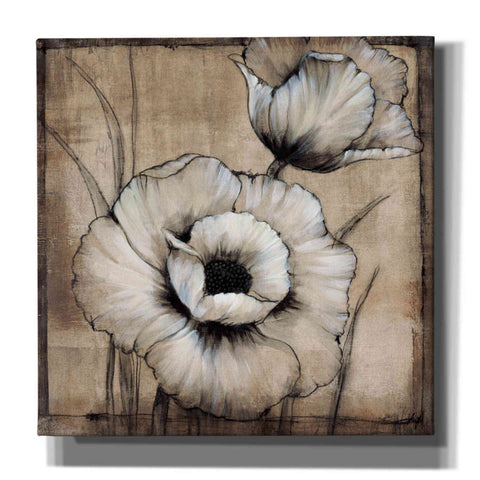 Image of 'Neutral Poppies I' by Tim O'Toole, Canvas Wall Art
