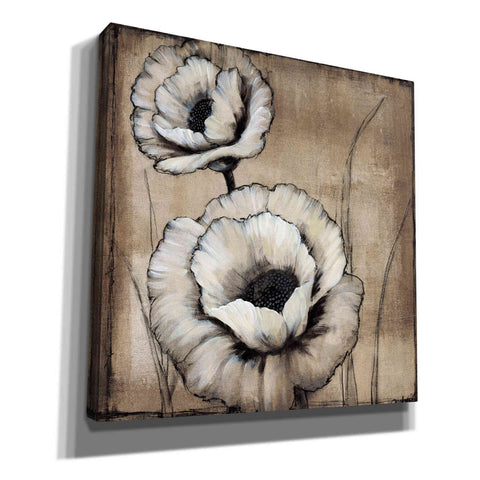 Image of 'Neutral Poppies II' by Tim O'Toole, Canvas Wall Art