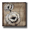 'Neutral Poppies II' by Tim O'Toole, Canvas Wall Art