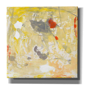 'Lemon Jostle I' by Tim O'Toole, Canvas Wall Art