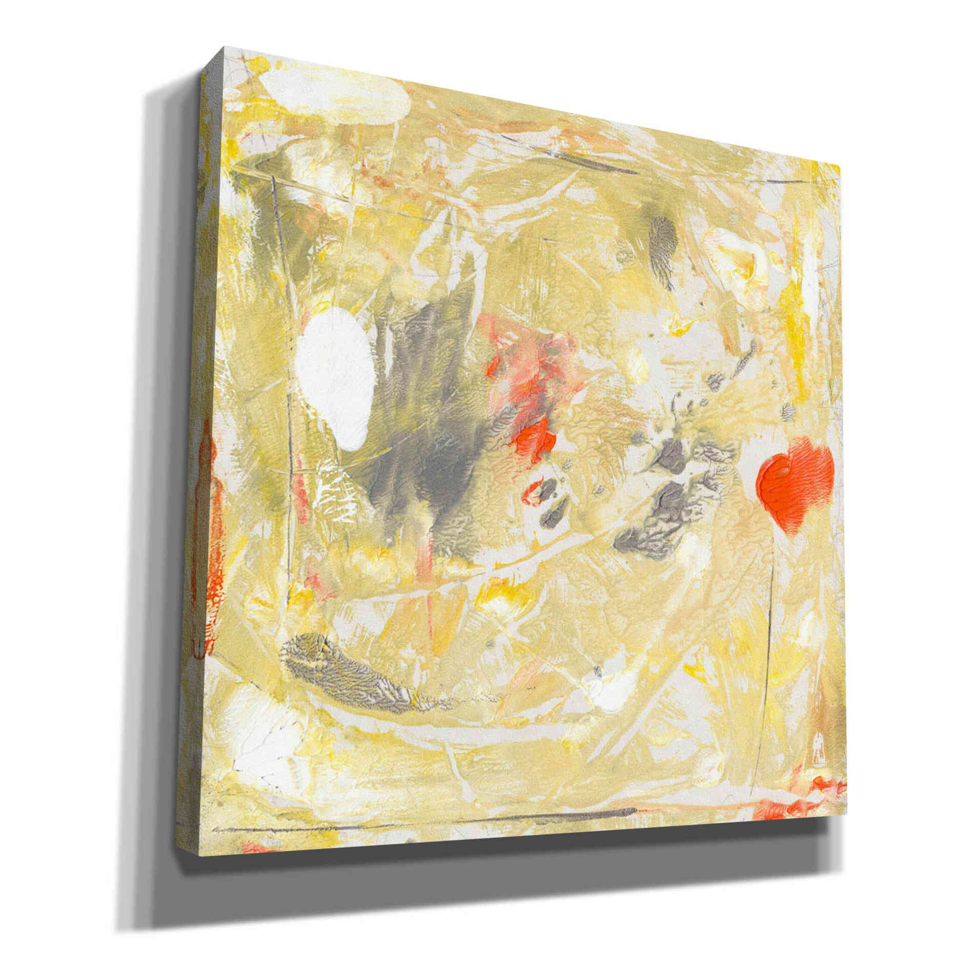 'Lemon Jostle II' by Tim O'Toole, Canvas Wall Art