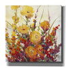 'Mixed Bouquet I' by Tim O'Toole, Canvas Wall Art