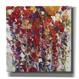 'Mixed Bouquet IV' by Tim O'Toole, Canvas Wall Art