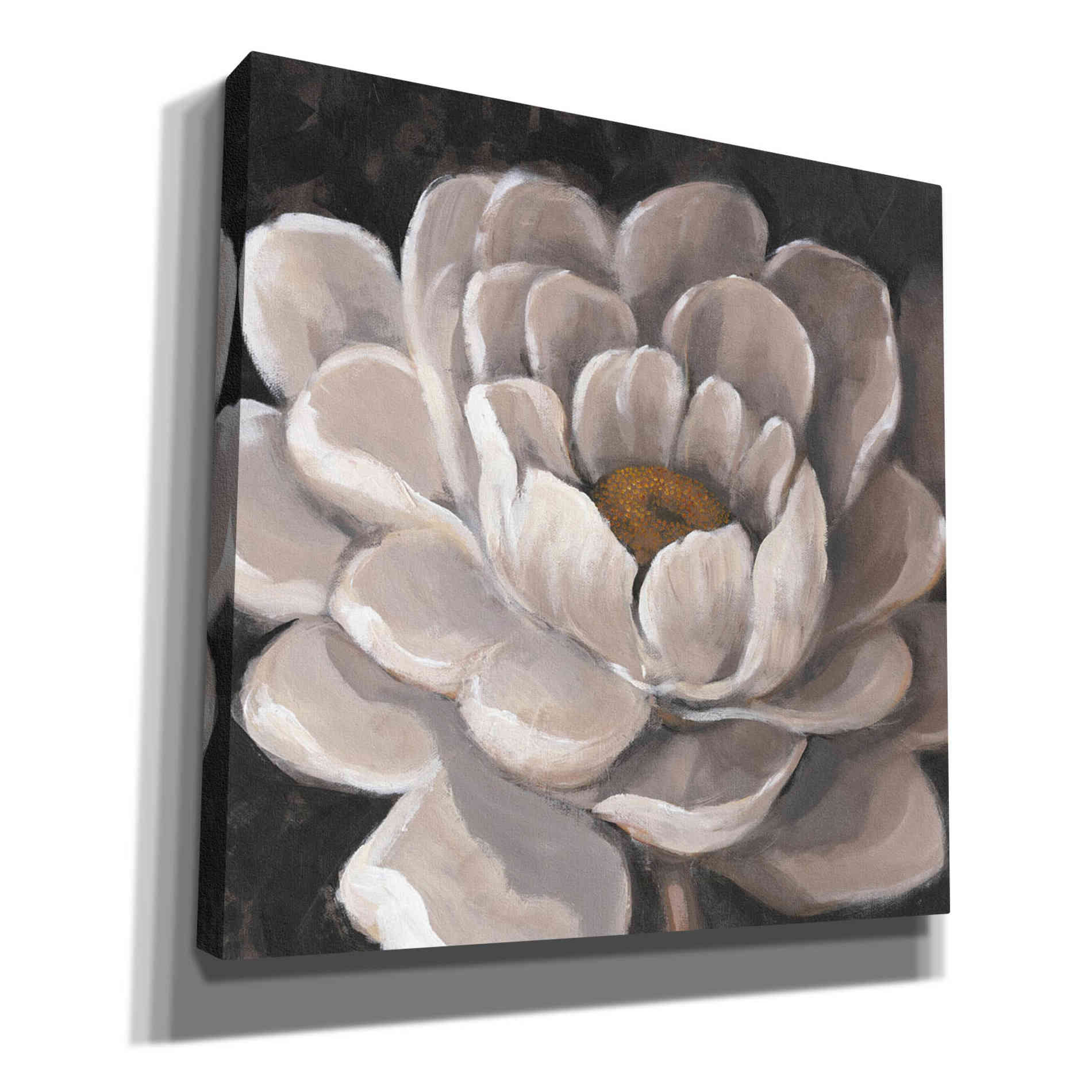 'Neutral Fleur I' by Tim O'Toole, Canvas Wall Art