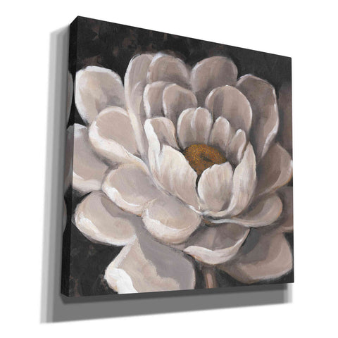 Image of 'Neutral Fleur I' by Tim O'Toole, Canvas Wall Art