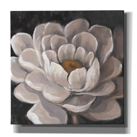 Image of 'Neutral Fleur I' by Tim O'Toole, Canvas Wall Art