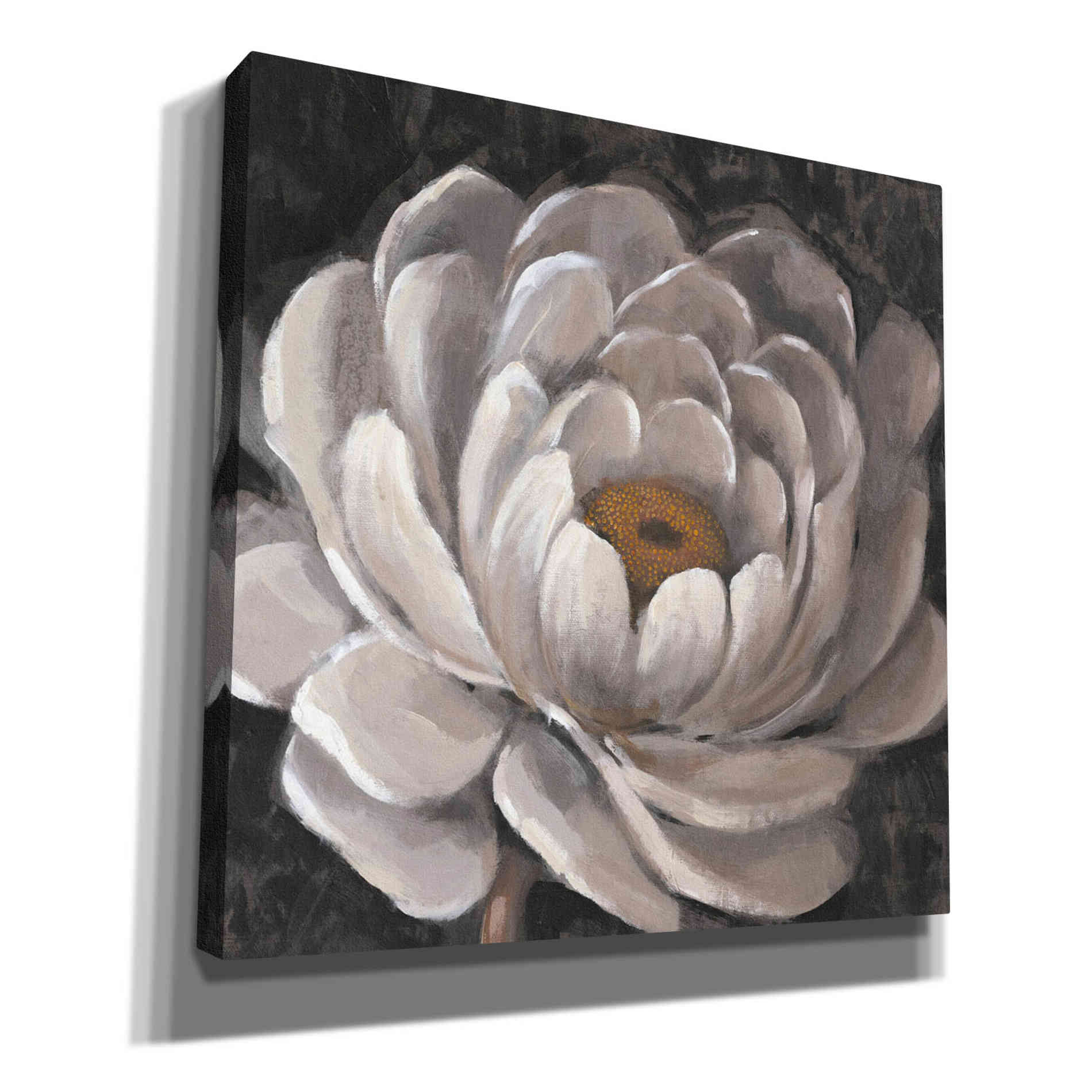 'Nuetral Fleur II' by Tim O'Toole, Canvas Wall Art