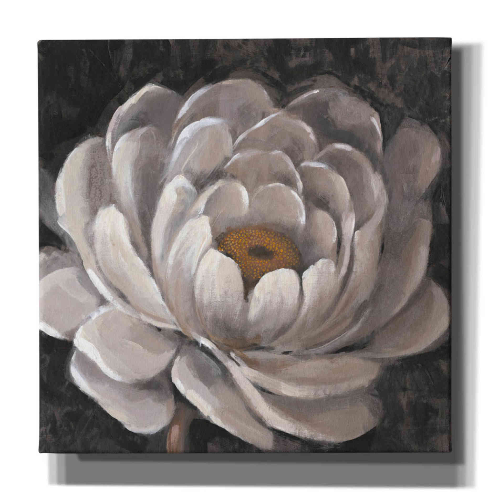 'Nuetral Fleur II' by Tim O'Toole, Canvas Wall Art