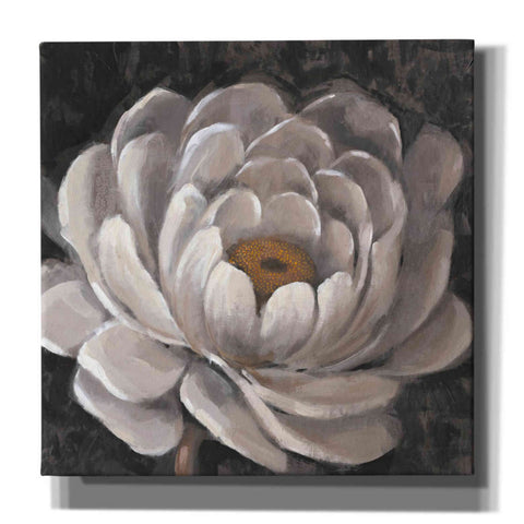 Image of 'Nuetral Fleur II' by Tim O'Toole, Canvas Wall Art