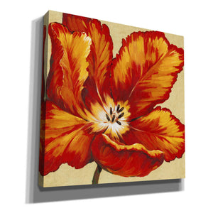 'Parrot Tulip I' by Tim O'Toole, Canvas Wall Art
