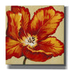 'Parrot Tulip I' by Tim O'Toole, Canvas Wall Art