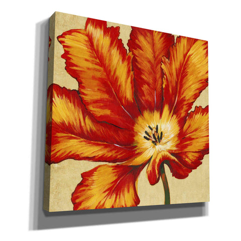 Image of 'Parrot Tulip II' by Tim O'Toole, Canvas Wall Art