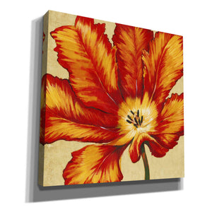 'Parrot Tulip II' by Tim O'Toole, Canvas Wall Art