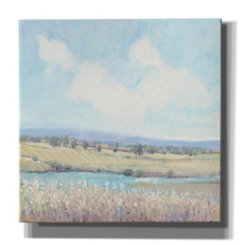 'Flowing Creek I' by Tim O'Toole, Canvas Wall Art