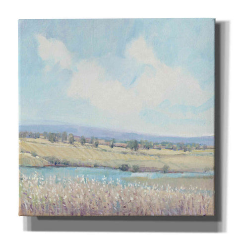Image of 'Flowing Creek I' by Tim O'Toole, Canvas Wall Art