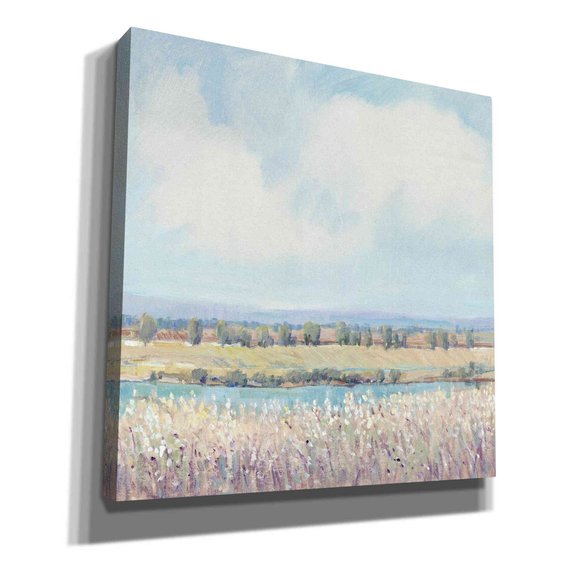 'Flowing Creek II' by Tim O'Toole, Canvas Wall Art