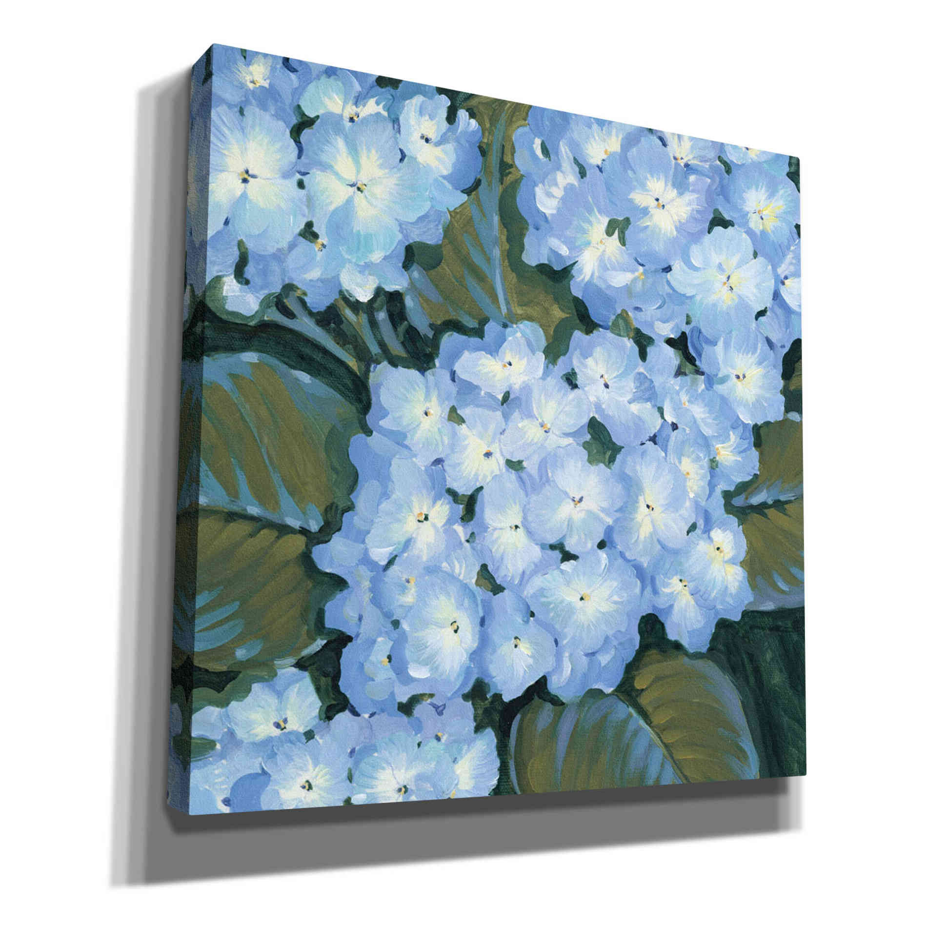 'Blue Hydrangeas I' by Tim O'Toole, Canvas Wall Art
