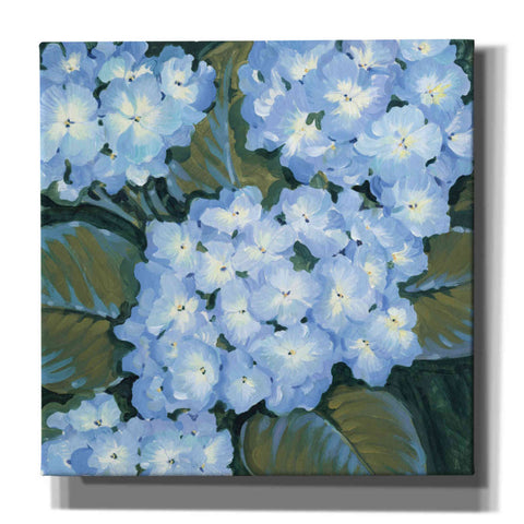 Image of 'Blue Hydrangeas I' by Tim O'Toole, Canvas Wall Art