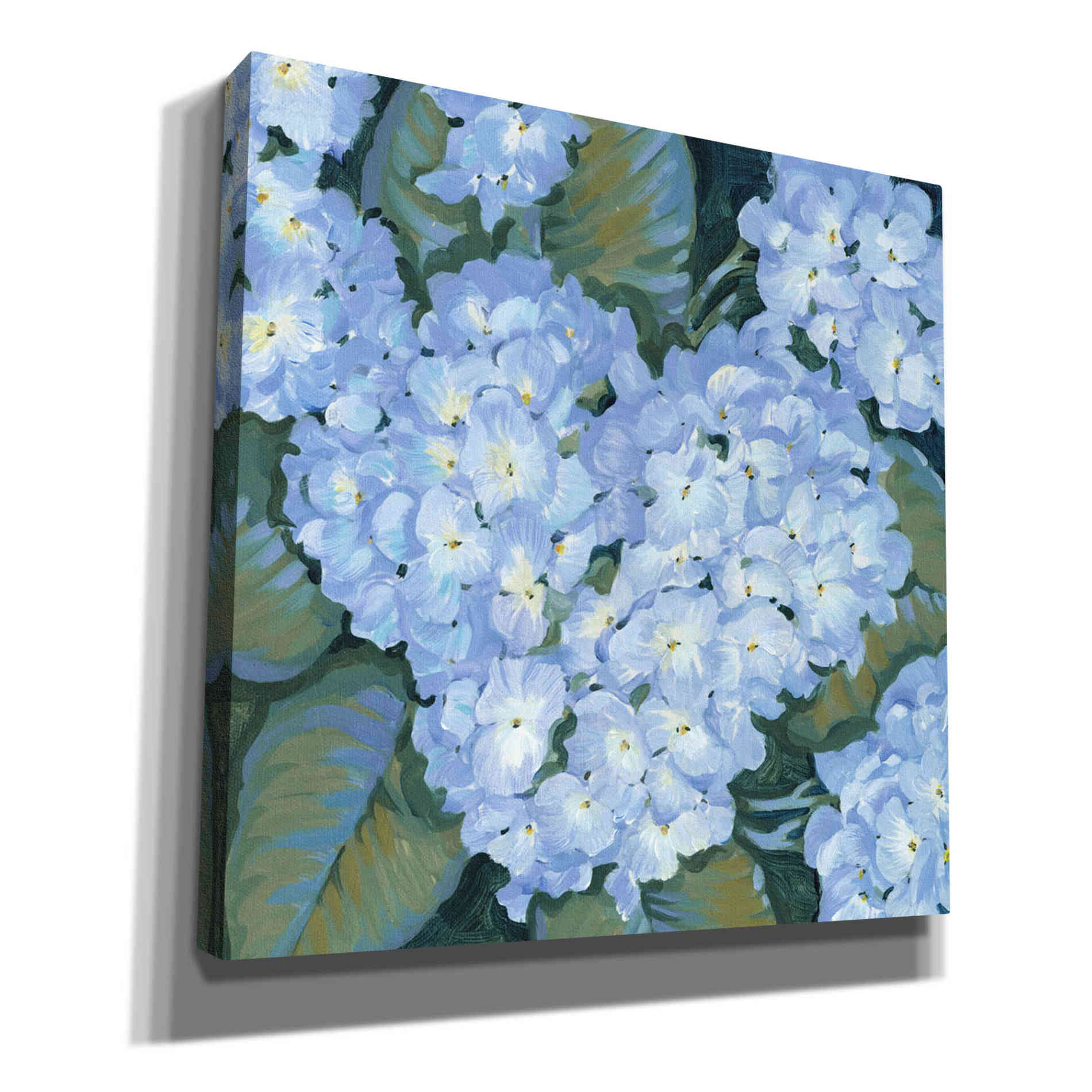 'Blue Hydrangeas II' by Tim O'Toole, Canvas Wall Art