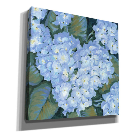 Image of 'Blue Hydrangeas II' by Tim O'Toole, Canvas Wall Art